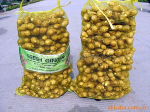 萊蕪市萊城區振興農副產品綜合加工廠官方網站 - 健康零食，源自純正農產