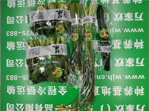 海珠農副產品公司發布萬家歡谷物最新報價，助力市場供需平衡