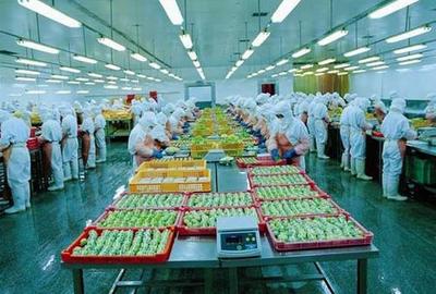 山東食品加工 互聯(lián)網(wǎng)開啟食品新模式，引領(lǐng)產(chǎn)業(yè)升級(jí)新篇章